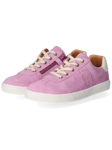 bisgaard Low Sneaker JANE in Violett