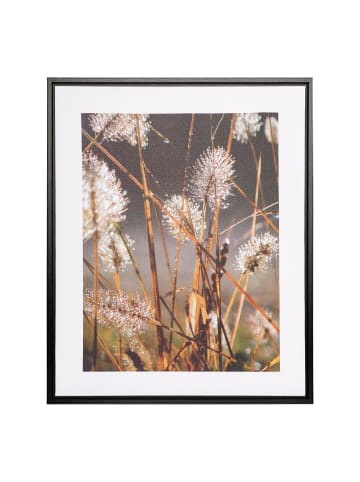 Creativ home 2er Set: PUSTEBLUME Deko-Bild