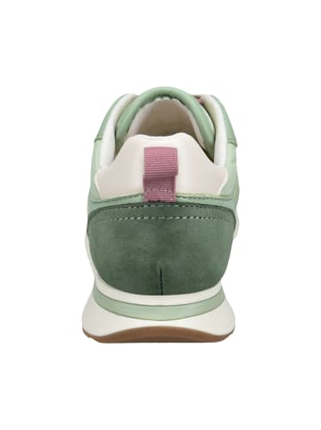 Bagatt Sneaker in grün
