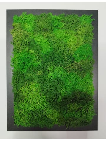 MeinVIPShop Moosbild 15 x 20 cm schwarz "handmade"