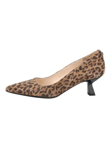 Nero Giardini Pumps in Leopard