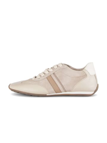 Gabor Sneaker low in beige