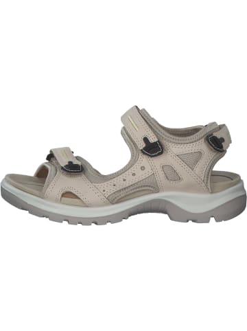 Ecco Outdoorsandalen in Limestone