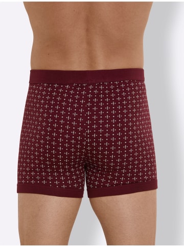 WITT WEIDEN Hose kurz in bordeaux-bedruckt
