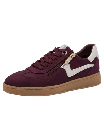 Marco Tozzi Sneaker in VINO COMB