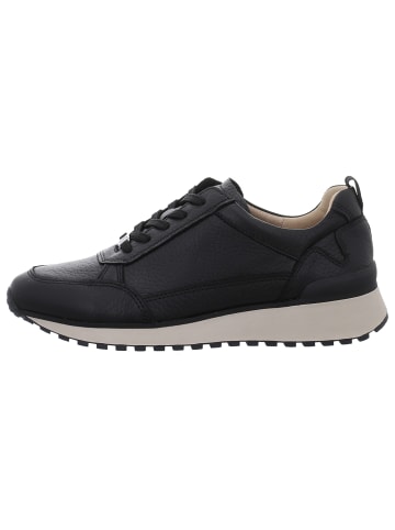 Caprice Sneaker in schwarz