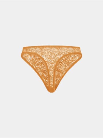 Erlich Textil  ICONIC LACE STRING in aprikose