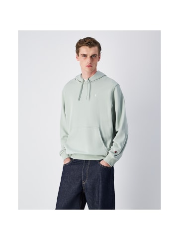 Champion Hooded Sweatshirt in Schilf121