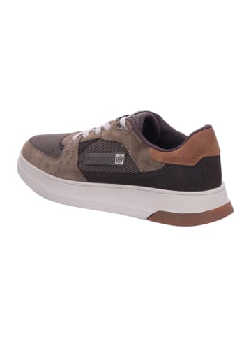 Bugatti Sneaker Low in braun