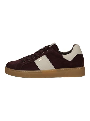 Nero Giardini Sneaker in Dunkelbraun
