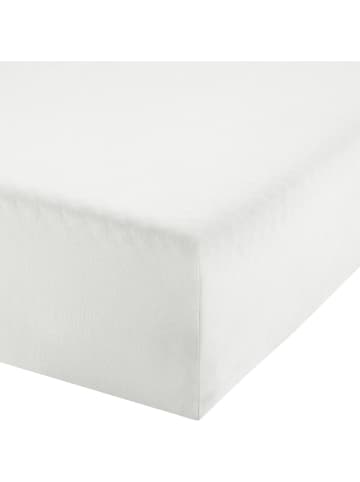 Erwin Müller Single-Jersey Boxspring-Spannbettlaken Regensburg in weiss