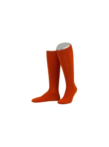 Lusana Trachtenkniestrümpfe L340 in orange (34)