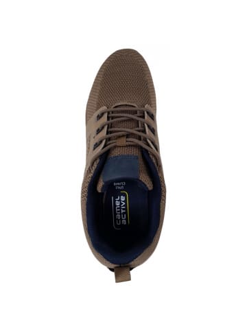 Camel Active sportlicher Schnürer in Beige