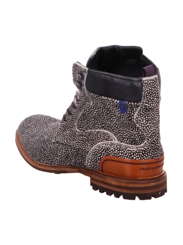 Floris van Bommel Schnürstiefeletten in Grau