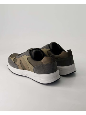 WALDLÄUFER Klassische Schnürschuhe in Grau