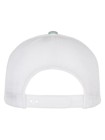 Flexfit Flexfit Unisex 110 FLEXFIT Batik Mesh CAP in mint