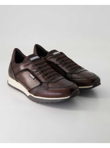 Pikolinos Slip On Sneaker in Braun