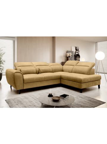 MF Design Nobel Recamiere Rechts in Amber -  (L) 265 x (B) 265 x (H) 100 cm