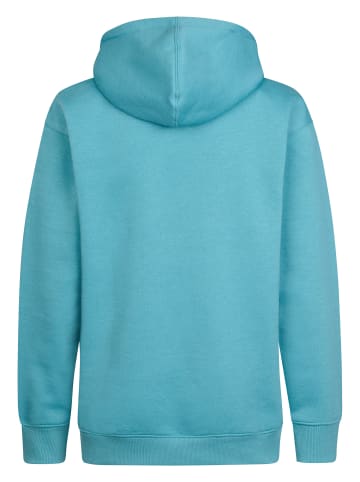 Petrol Industries Lockerer Hoodie Millrun in Blau
