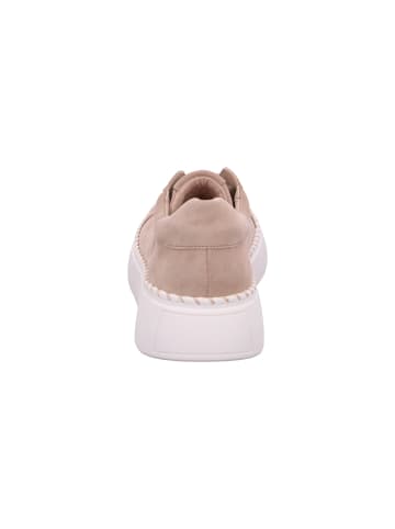 Gabor Sneaker  in Beige