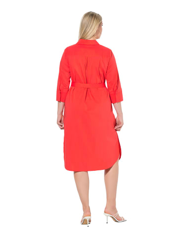 Ulla Popken Midikleid in lychee