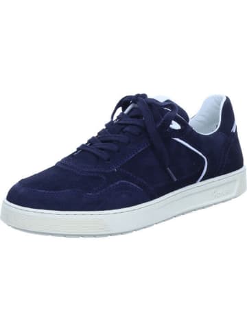 Sioux Sneaker Low in blau