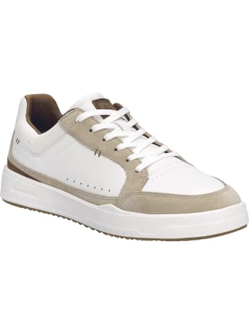 Josef Seibel Sneaker Donovan 06 in beige