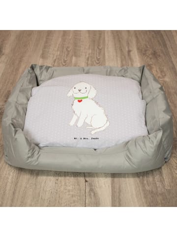 Mr. & Mrs. Panda Hundeschlafplatz Bolonka Zwetna Lebensretter oh... in Grau Pastell