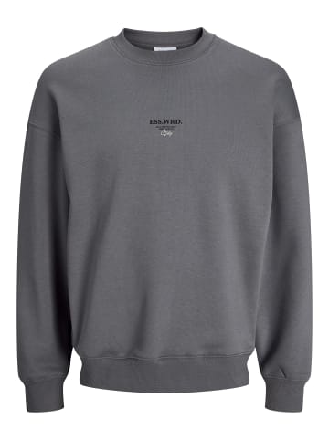 Jack & Jones Sweatshirt in Castlerock