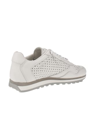 Cetti Sneaker low C-848 SRA EXP V25 in Weiß