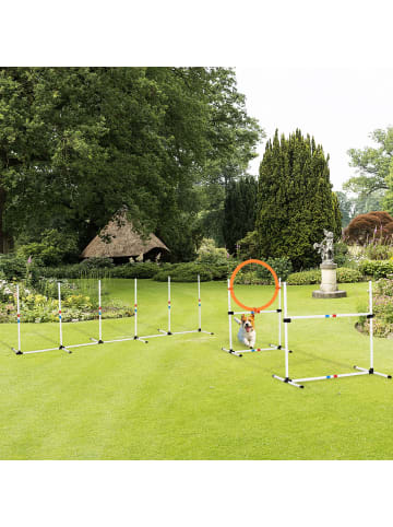 Pawhut Hunde Agility Set Weiß+Gelb PE