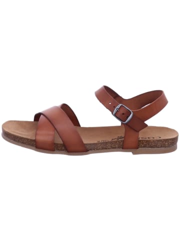 Cosmos Comfort Sandale in braun