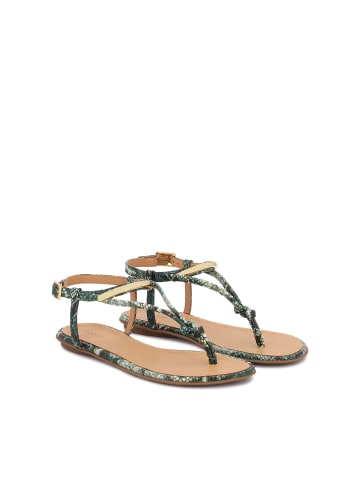 Kazar Sandaletten in Grün
