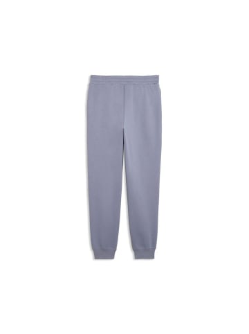 Puma Trainingshose "Ess NO. 1 Logo Sweatpants FL CL (S)" in Grau