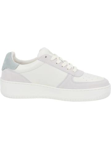 palado Sneakers Low in bianco/blanco/baby blue