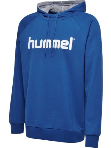 Hummel Hoodie in Blau