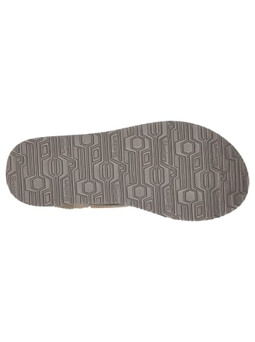 Skechers Zehentrenner MEDITATION - PEARL PERFECTION in taupe