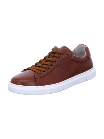 Pius Gabor Sneaker Low in Braun
