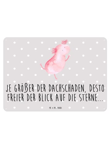 Mr. & Mrs. Panda Blechschild Axolotl Tanzen mit Spruch in Grau Pastell