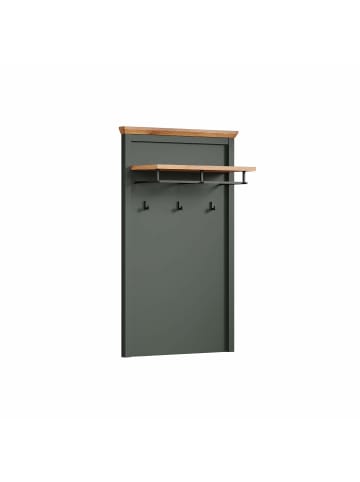 ebuy24 Wandgarderobe Stanton Grün 77 x 28 cm