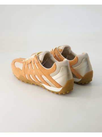 Geox Sportliche Schnürschuhe in Orange