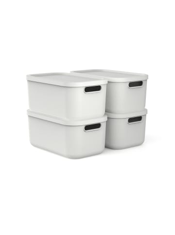 Rotho Aufbewahrungsbox 4er Set 12 l ALBULA LIGHT