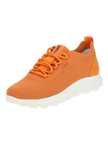 Geox Sneaker in Orange