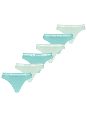 Puma 6er Pack Every Day Strings in Mint