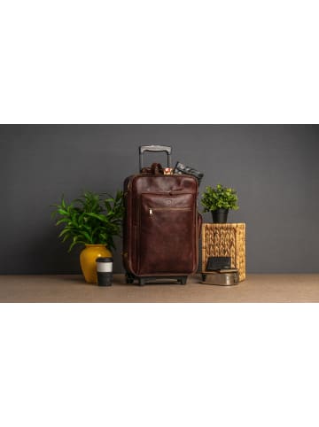 piké Reise Trolley PERUGIA in braun