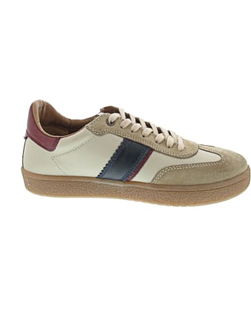 Camel Active Sneaker low Beige