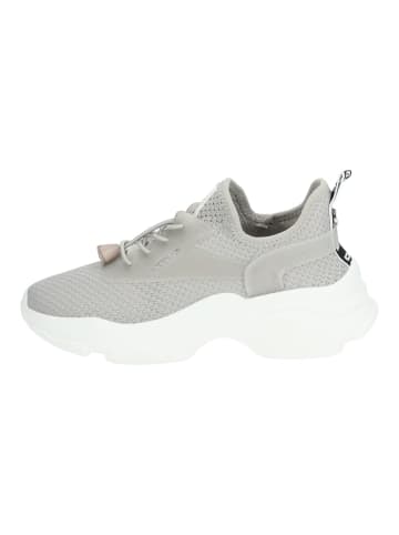 Steve Madden Sneaker in Grau/Weiß