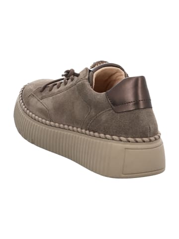 Gabor Plateau Schnürschuhe in Braun