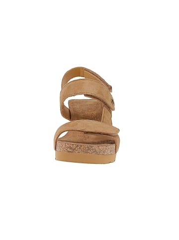 PANAMA JACK Sneaker low Vilma B2 Velour in Braun