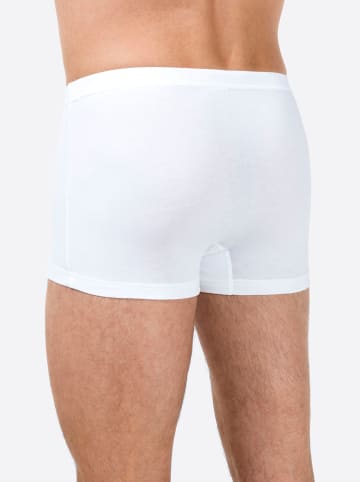 Bugatti Pants in 3 Stück weiß